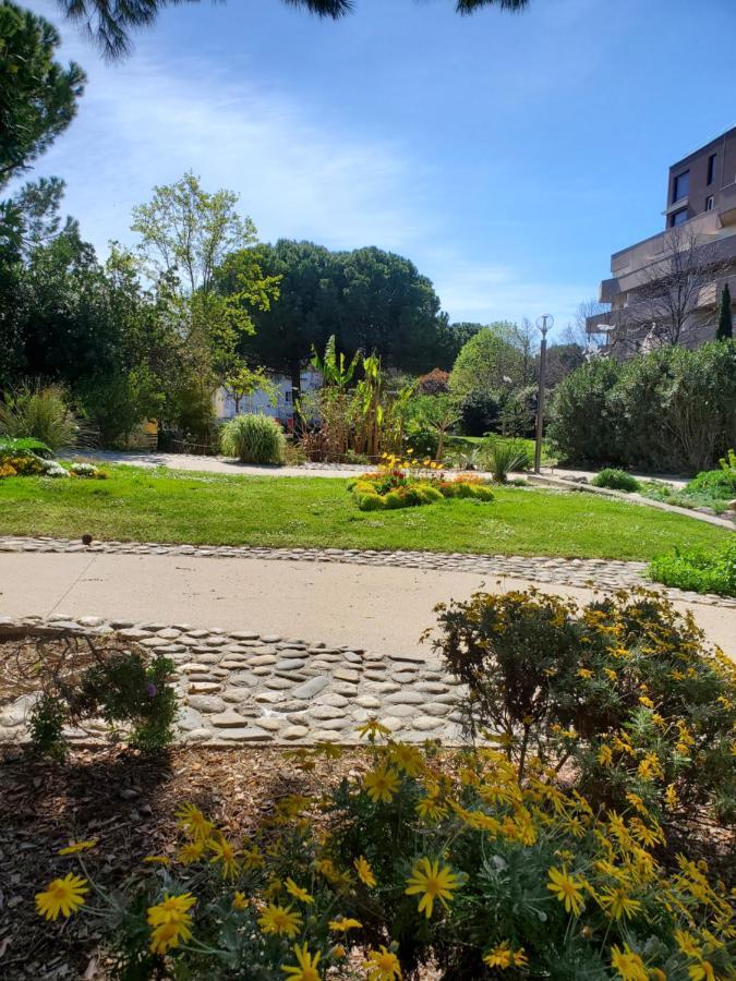Le Grenier, Climatisation Terrasse Wi-Fi Netflix 15 Mn Coeur De Ville 베지에 외부 사진